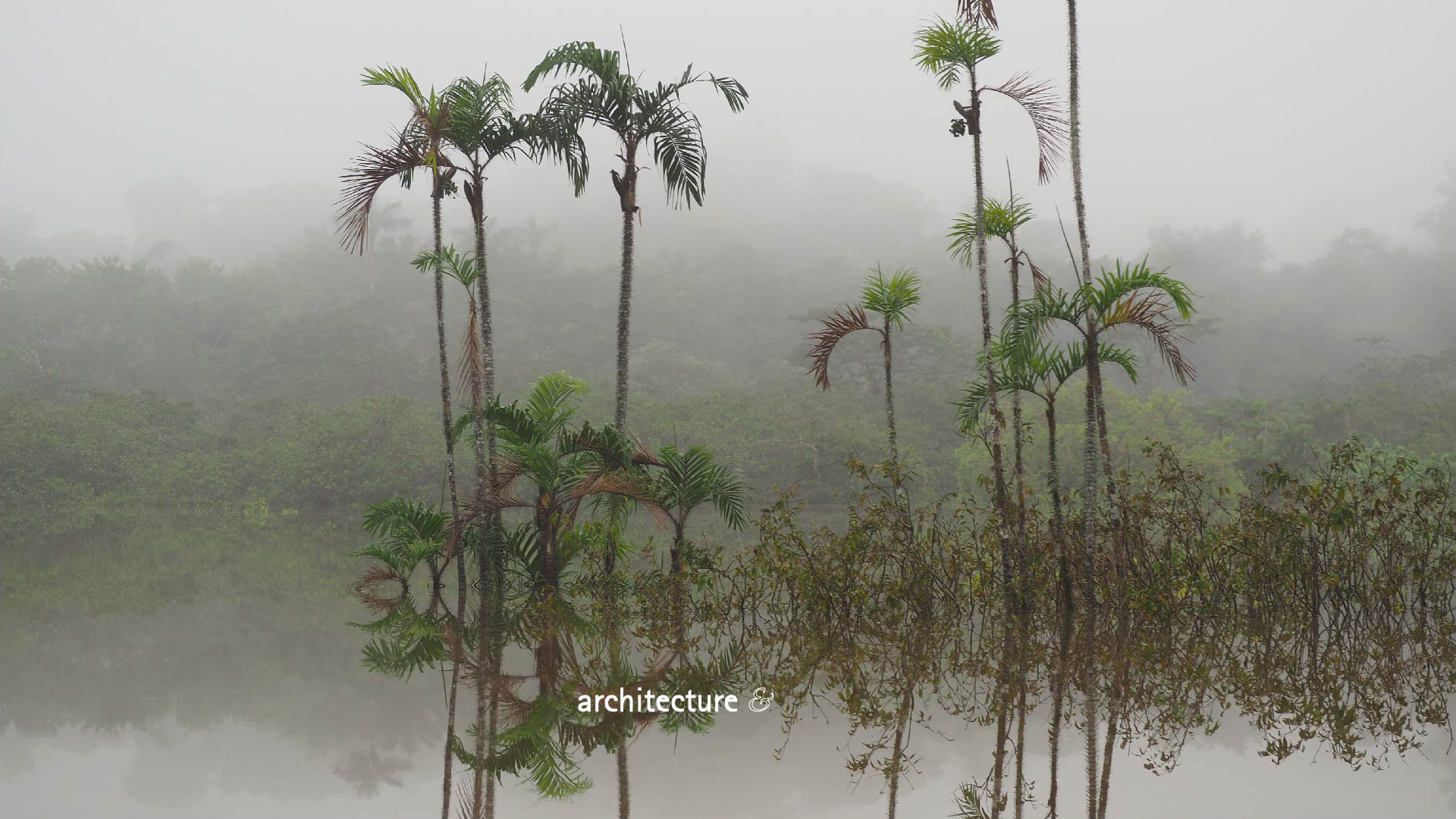 atelier bill — rainforest-architecture-&