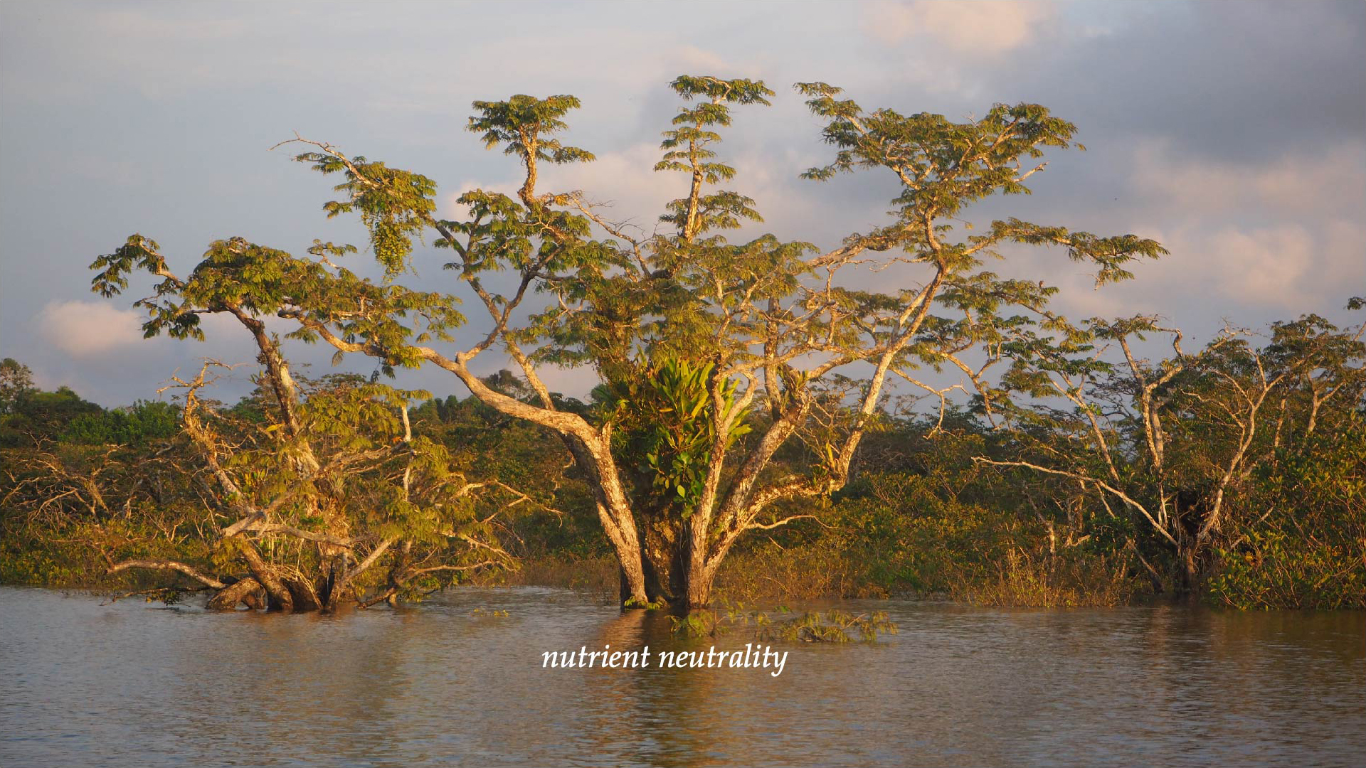 atelier bill — rainforest-sustainable-design